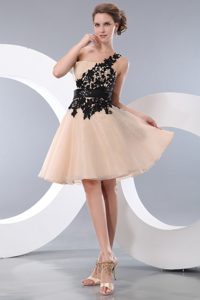 Champagne One Shoulder Mini-length Organza Appliqued Holiday Dresses