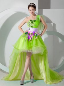 One Shoulder High-low Green Organza Homecoming Cocktail Dress with Flowers