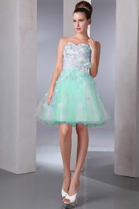 Sweetheart Knee-length Light Green Organza Homecoming Dress with Appliques