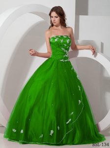 Beautiful Spring Green Strapless Pretty Sweet 16 Dresses with Appliques