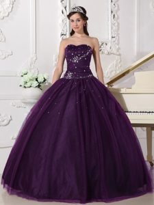 Best Seller Dark Purple Ball Gown Sweetheart Quinceanera Dress Gowns