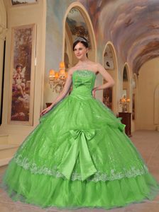 Luxurious Green Quinceanera Gown with Bowknots in Sequin and Organza