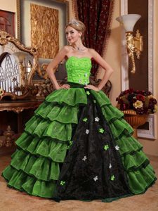Exquisite Strapless Organza Appliqued Quinceanera Dresses in Multi-color