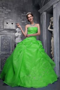 Luxury and Grace Strapless Taffeta and Organza Dress for Quince in Green