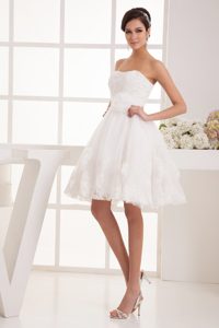 Svelte Appliqued Strapless Princess Dresses for Wedding with Lace Edge