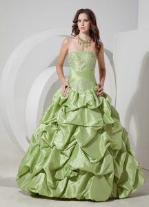 Pretty Olive Green Strapless Taffeta Prom Dresses with Appliques and Pick-ups