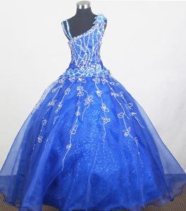 2013 Fabulous Beaded Flowers Blue Pageant Dresses for Toddlers for Winter