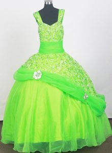 Wonderful Spring Green Zipper-up Organza Little Girl Dress with Beading