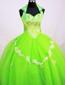 Spring Green Beaded Pageant Dress for Toddlers with Halter Top Neckline