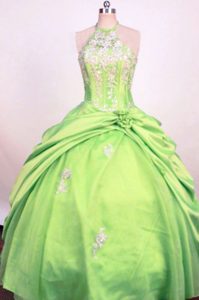 2014 Fashionable Spring Green Pageant Dress for Girls with Hand Made Flowers