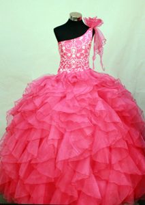 2013 Perfect Hot Pink One Shoulder Flower Girl Pageant Dress with Embroidery