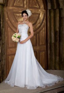 Pretty Strapless Organza Wedding Dress with Court Train and Embroidery