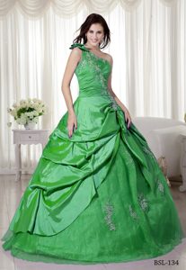 Spring Green One Shoulder Sweet Sixteen Dresses in Taffeta and Organza