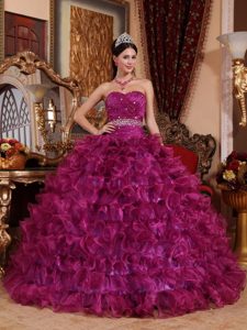 Qualified Ball Gown Sweetheart Organza Dresses for Quinceanera to Floor