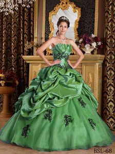 Brand New Green Quinceanera Gown Dresses in Organza