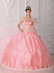 Popular Watermelon Red Dresses for Quinceaneras in Lace with Appliques