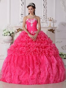 Svelte Hot Pink Quinceanera Gowns in Organza with Embroidery