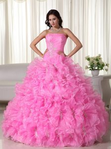 Rose Pink Tony Quinceaneras Dresses in Organza with Appliques