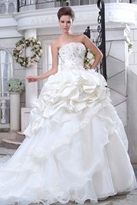 Strapless Appliqued Autumn Wedding Dress with Chapel Train in Organza