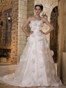 Luxurious Strapless Chapel Train Wedding Dresses in Taffeta and Organza