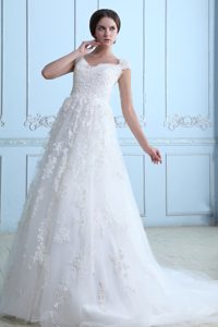 V-neck Court Train Perfect Zipper-up Tulle Wedding Gowns with Lace