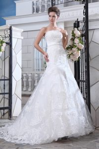 Fabulous Mermaid Strapless Lace Wedding Outfits with Belt and Court Train