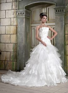 Strapless Chapel Train Organza Nice Wedding Gown Dress with Appliques