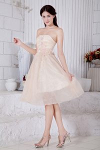 Cheap Baby Pink Strapless Tea-length Organza Bridesmaid Dress with Appliques
