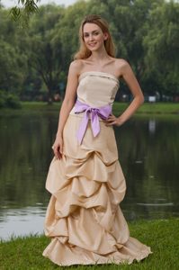 Champagne Column Strapless Prom Bridesmaid Dress with Pick Ups in Taffeta