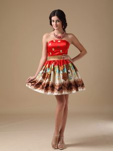 Magnificent Sweetheart Multi-color Zipper-up Printed Dresses for a Nightclub