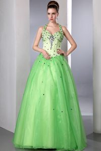 Halter Satin and Organza Prom Dress in Spring Green on Promotion