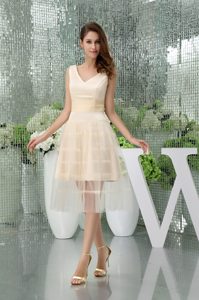 Brand New V-neck Champagne Knee-length Prom Celebrity Dress for Girls