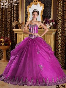 Fuchsia Appliqued Organza Sweet Sixteen Quinceanera Dresses on Sale