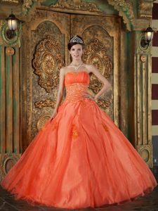 Orange Red Sweetheart Dress for Quinceanera in Organza with Appliques