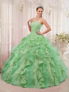 Hot Multi-colored Organza Quince Dresses with Sweetheart and Appliques