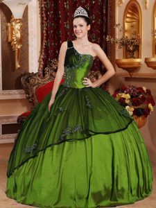 Olive Green Beaded and Appliqued Quince Dress in Taffeta and Organza