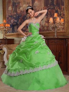 Spring Green Sweet Sixteen Quinceanera Dress with Appliques