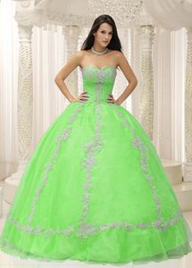 Pretty Appliqued and Beaded Sweet 16 Dresses with Sweetheart in Spring Green