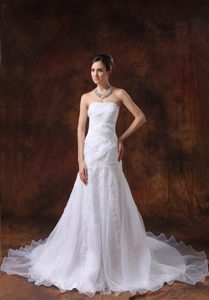 Embroidery Strapless Organza Autumn Wedding Dress with Court Train