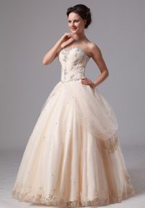 Classical Zipper-up Sweetheart Bridal Gowns in Champagne with Appliques