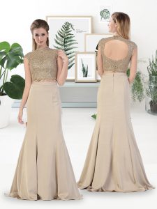 Champagne Sleeveless Satin Zipper Prom Gown for Prom and Party