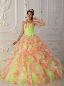 Top Strapless Organza Quinceaneras Dresses in Multi-color with Flowers
