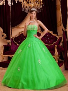 Angel Spring Green Strapless Sweet Sixteen Dresses with Appliques