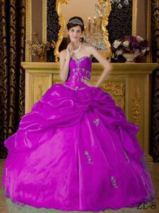 Impressive Fuchsia Ball Gown Sweetheart Quinceanera Dresses in Organza