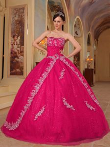 Fashionable Hot Pink Sweetheart Embroidery Dress for Quinces in Organza