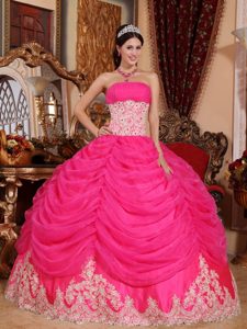 Poised Hot Pink Quinceaneras Dresses in Organza with Beading