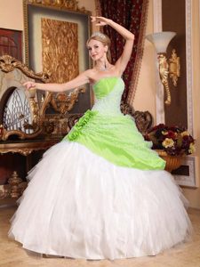 Extravagant Quinceanera Dresses in Taffeta and Tulle with Flowers