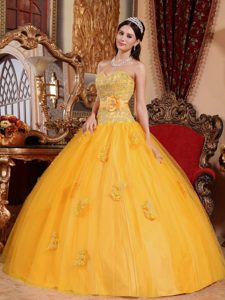 Wonderful Gold Ball Gown Sweetheart Appliqued Dress for Quince in Tulle