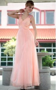 Flare Baby Pink Sleeveless Chiffon Zipper Prom Dress for Prom and Party
