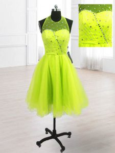 Luxurious Yellow Green High-neck Lace Up Sequins Prom Dress Sleeveless